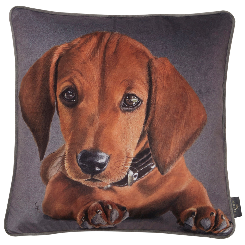 PRINTED DACHSUND 45 X 45

Size: 45 x 45 cm